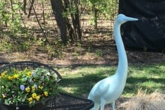 Patio Furniture and Blue Bird